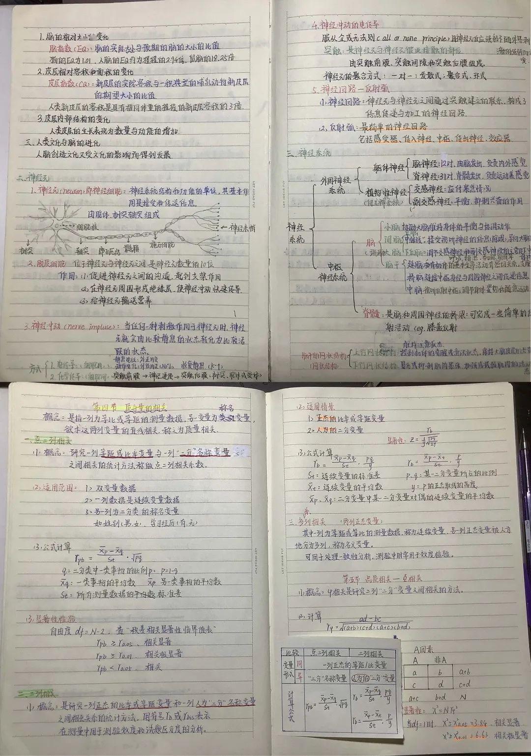 人口日志学_人口普查(3)