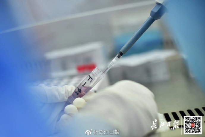 什么是基因扩增 cf32ca56847341afb7cdf8a4bc059467.jpeg