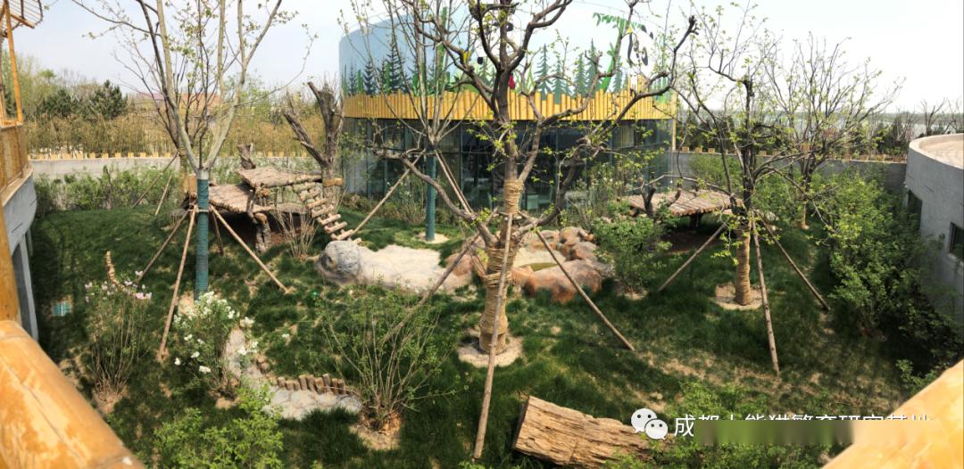 天津亿利动物园熊猫馆建设验收情况