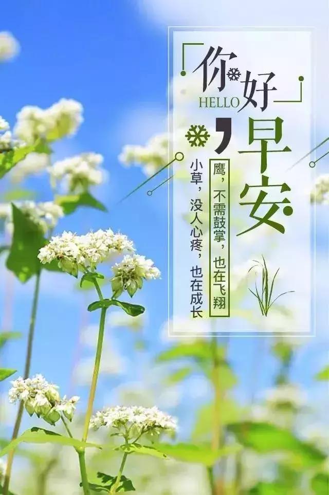 希望每天都能,心情满点,快乐点,幸福点,早安