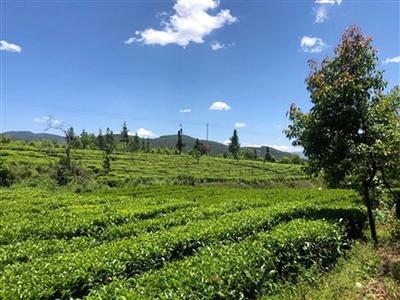 北河乡西河头村有多少人口_西河支前河岔村