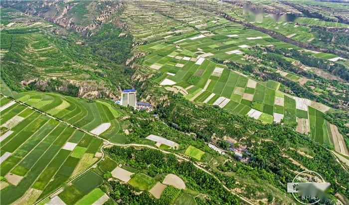 神秘的面纱,它就是全国最大的"完颜部落—平凉泾川县王村镇完颜村