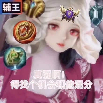 王者荣耀瑶辅助辅王表情包