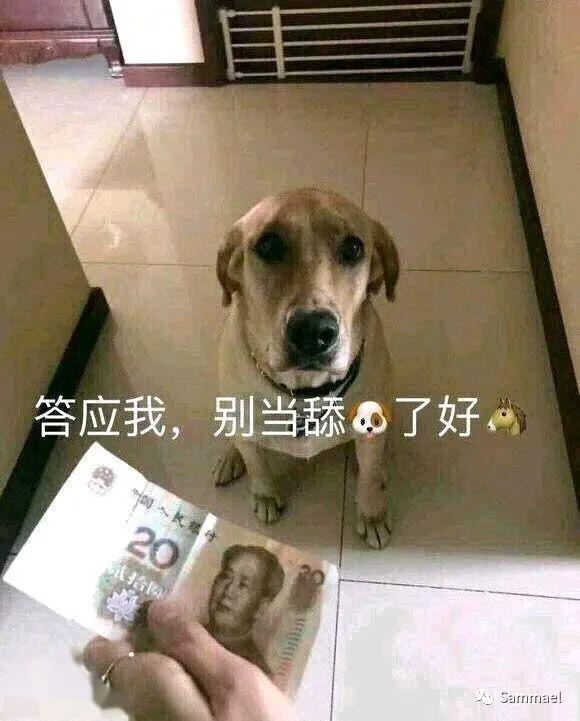 舔狗的反击——不理我你就卸载微信吧