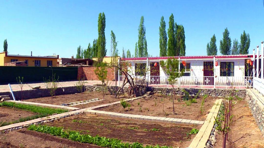 甘河子镇打造美丽庭院 促进庭院经济发展