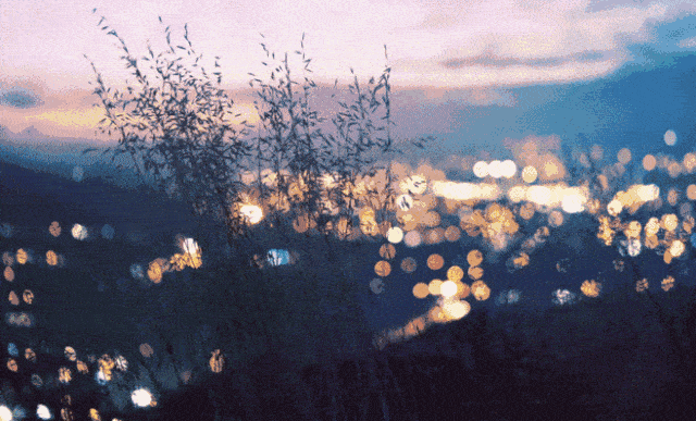 你从来不是唯一且不可替代的那个人