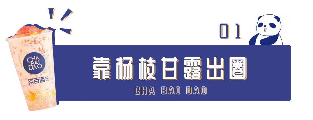 有只蠢萌的国宝熊猫从成都飞来了,「茶百道」5月30日开业买一送一