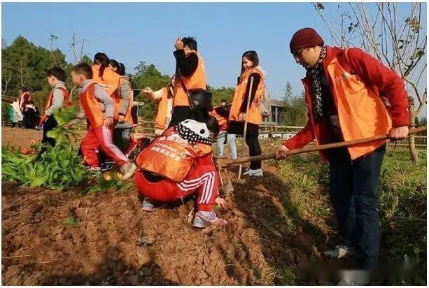 开云体育 Kaiyun.com 官网入口休闲农业第2问：为什么说休闲农业必须要农旅“有机”结合？(图5)