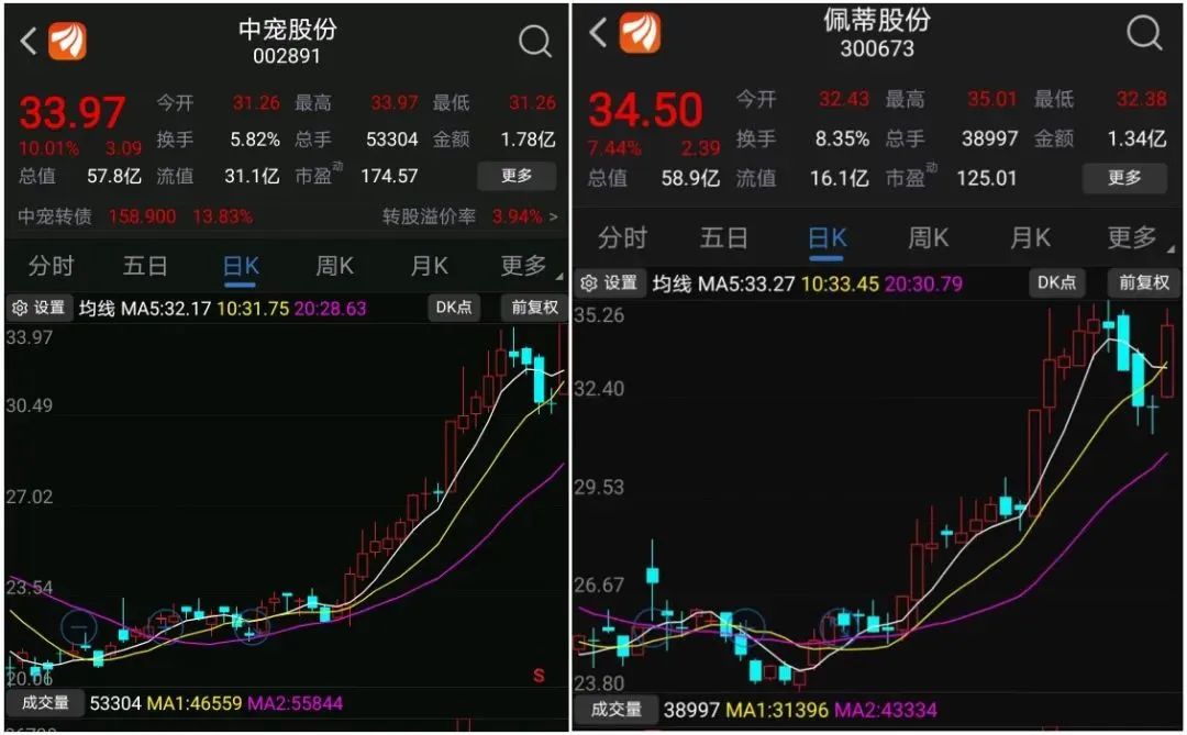 宠物gdp_宠物头像(2)