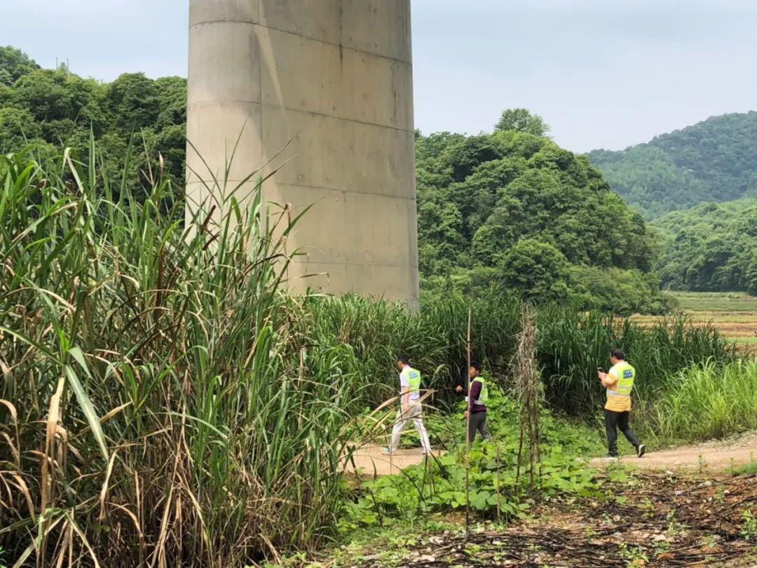 桥下镇小岙人口_桥下镇麻岙村(2)