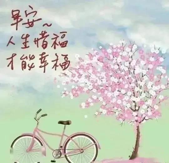 feaf0a2752134496897c4d87a04326a6.jpeg