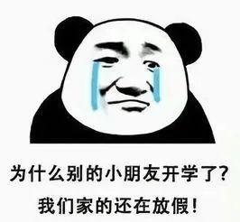 05 对学校的思念 在校 在校时,总是盼望着回家,一到周末就恨不得马上