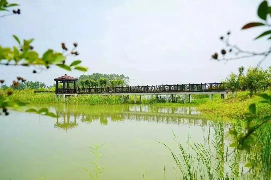 巢湖半岛国家湿地公园