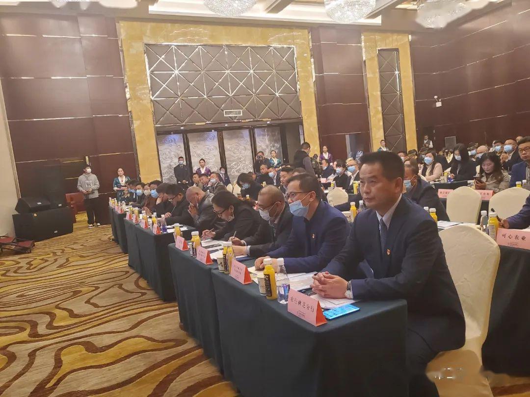 2020林芝市gdp_林芝市地图