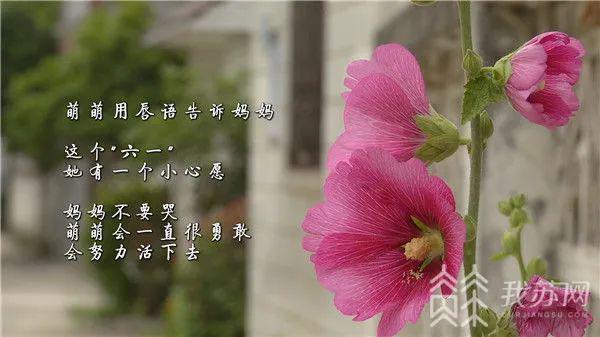 心愿|我怎么能放弃她？”她的“六一”心愿：妈妈不哭！“终于四岁了