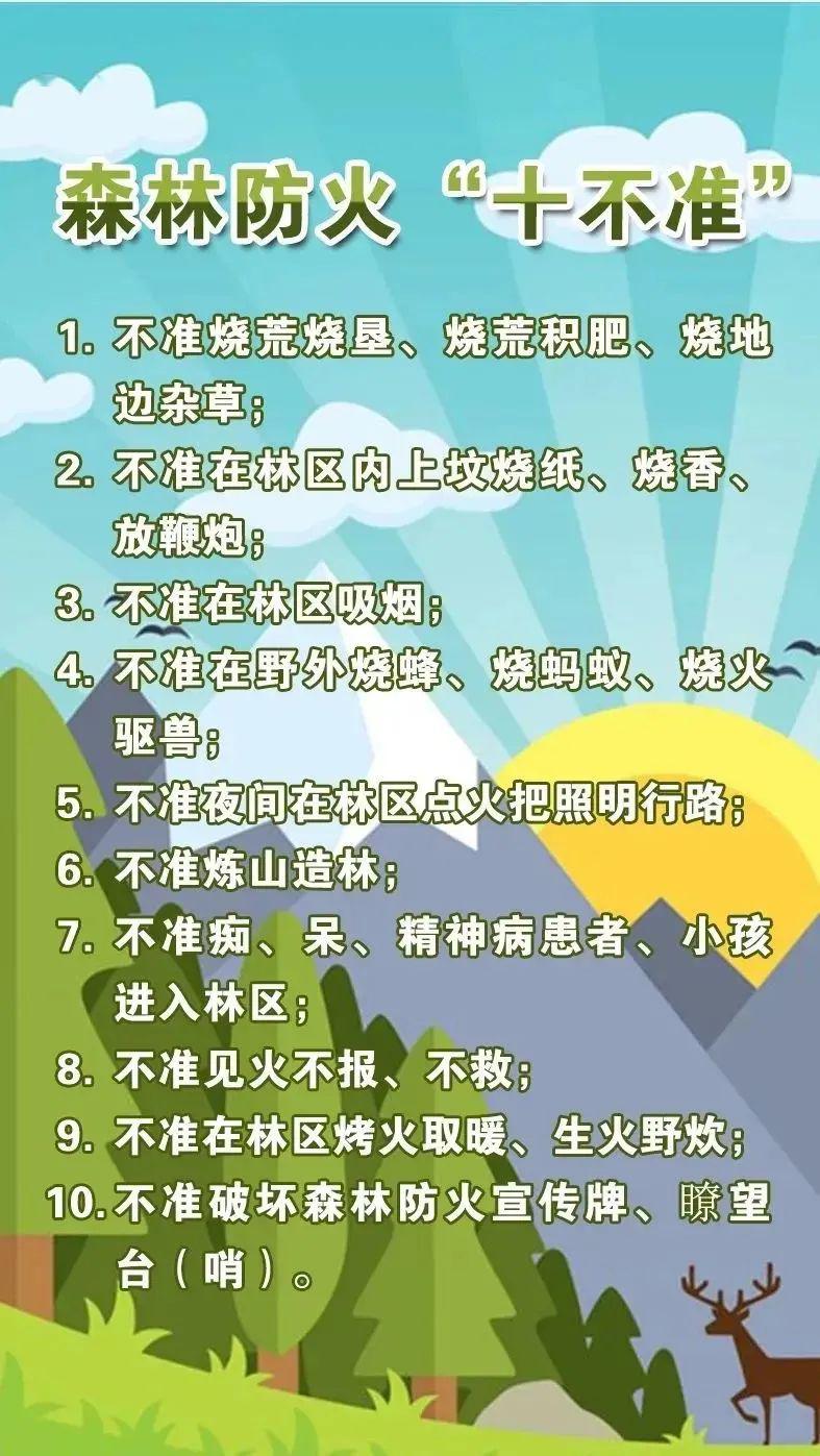 视频森林防火人人有责森林防火小知识应知应会