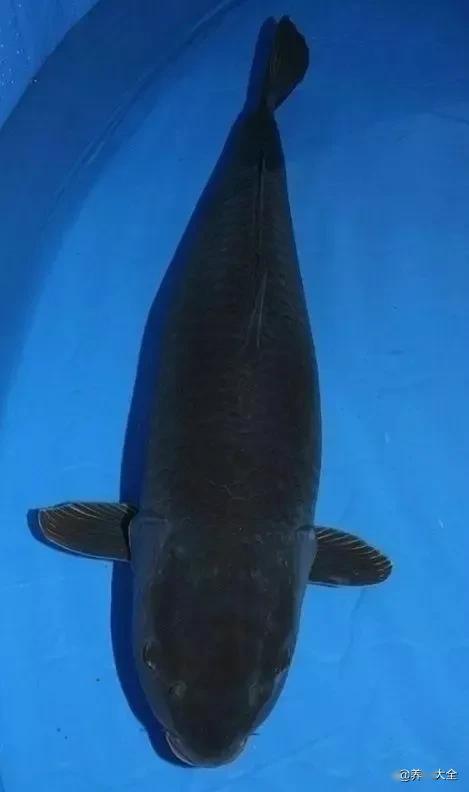 ����5��Ʒ�ֽ���