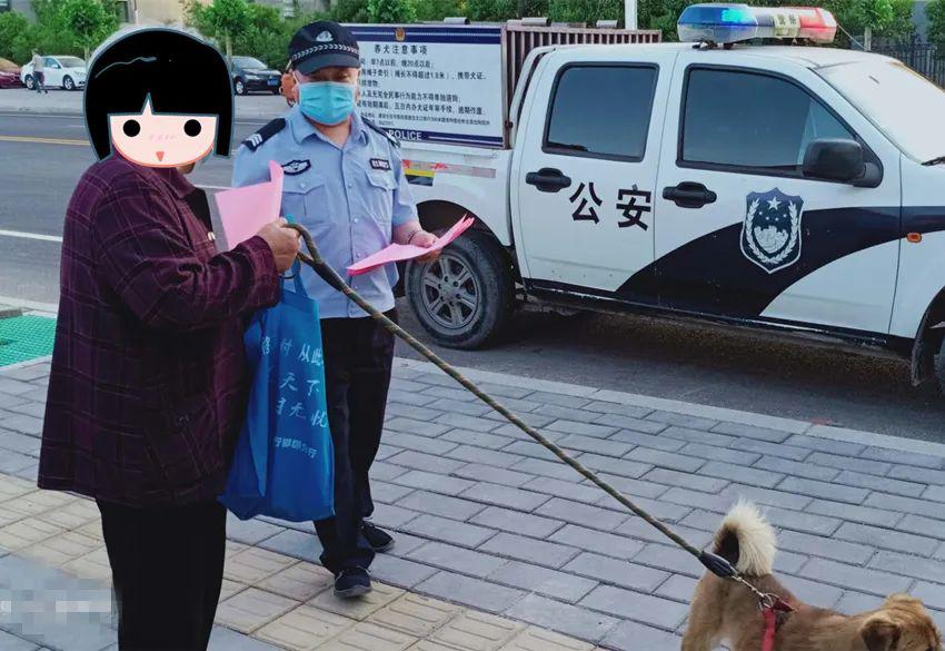 【复兴公安】文明养犬 专项整治在行动!