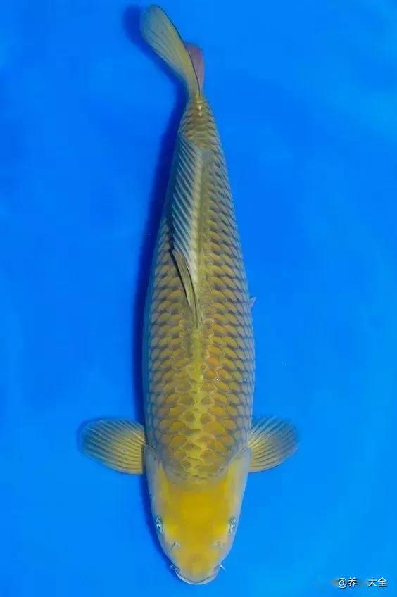 ����5��Ʒ�ֽ���