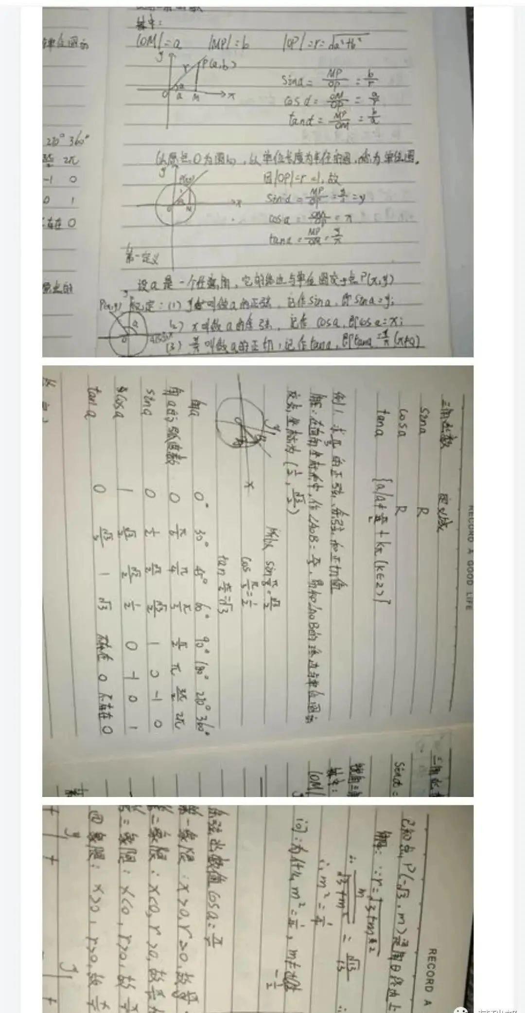 证书|进！毕业可拥有三本证书！有教师梦的同学