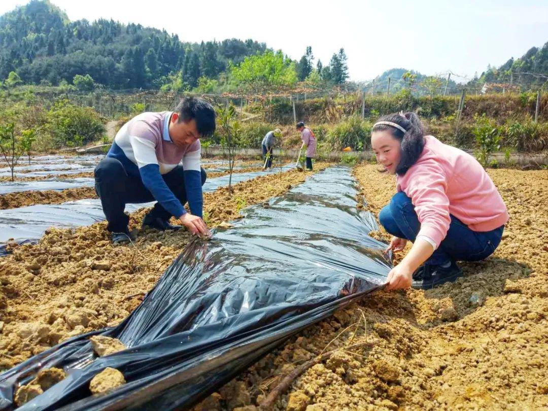 奋斗者幸福丨罗国玉绽放在两河口村的芳华