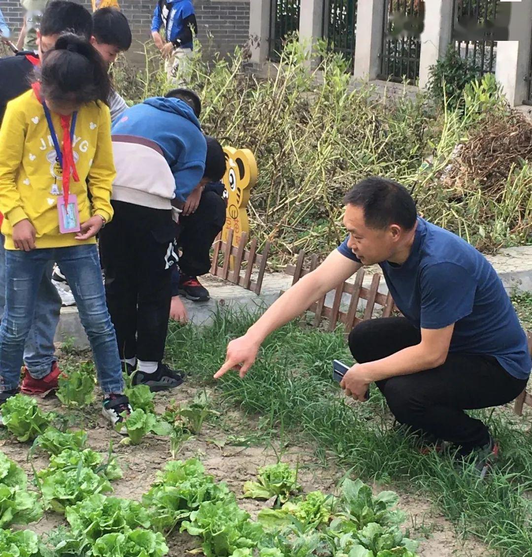 伍佑小学将开心农场搬进校园让学生体验劳动乐趣