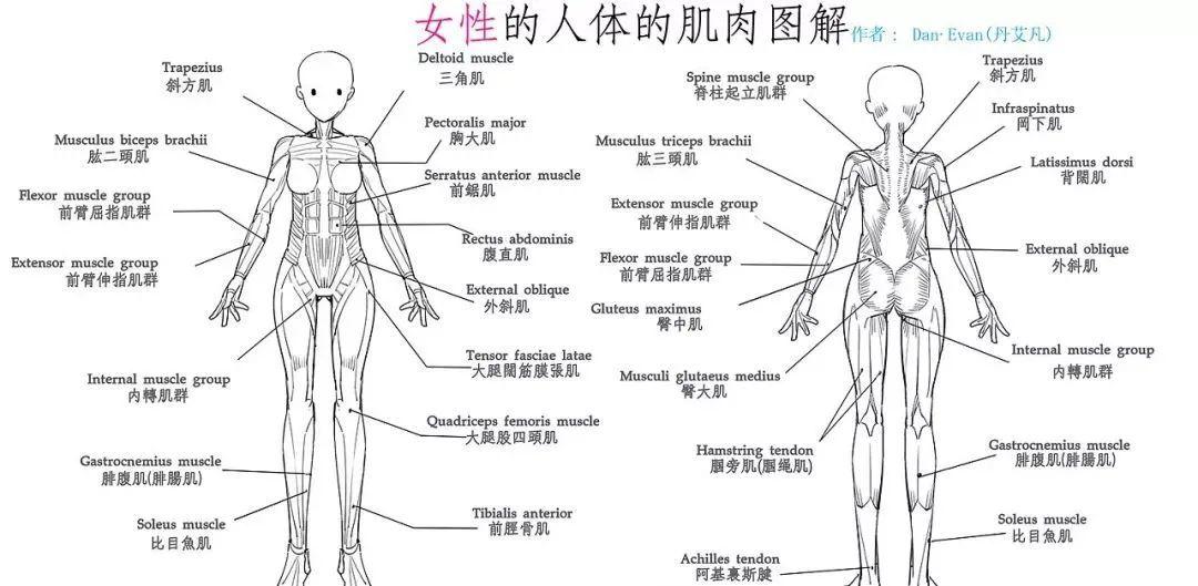 深层刺激任意一块肌肉,任意一个部位,紧致身材立现s曲线好身材!