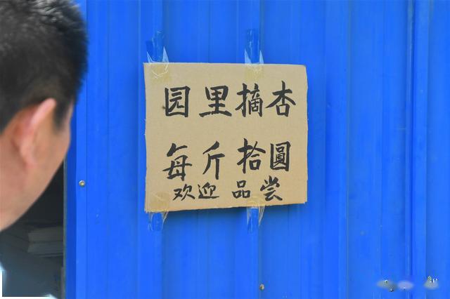 开云体育 Kaiyun.com 官网入口风靡农村的休闲农业被奉为“摇钱树”警惕美国模式下的陷阱(图8)