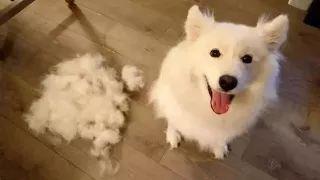 185c1a31e1104bfea420760373869180.jpeg