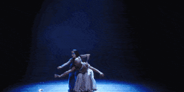 366_184gif 动态图 动图