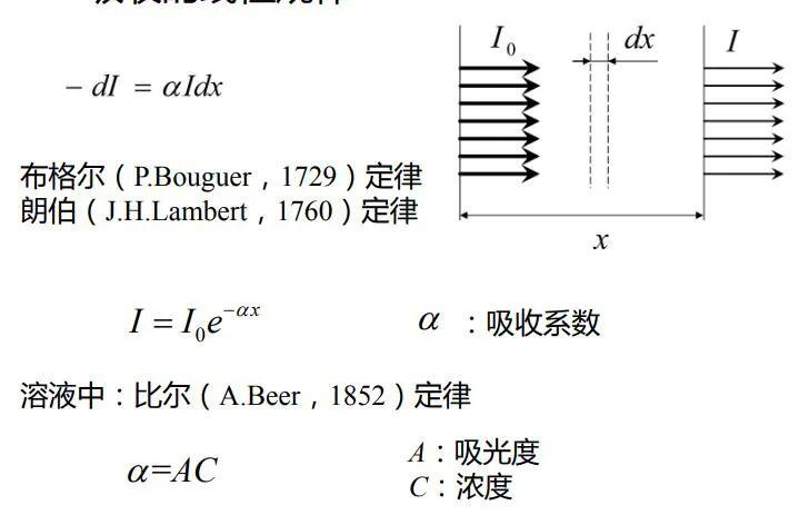 吸收的原理是什么意思_什么是牙槽骨吸收