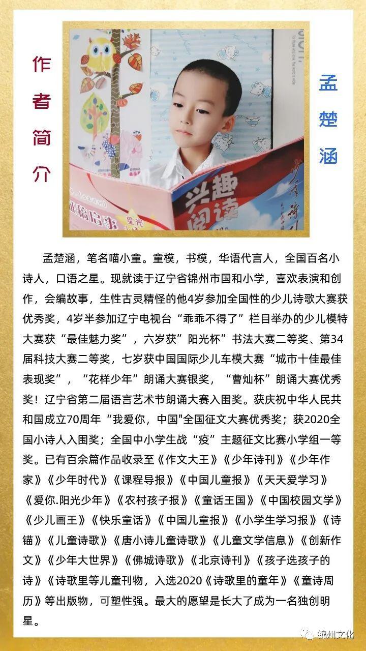 怎么写好一首诗歌 d3368d17d9d34269a46f7b2fce7d9ea0.jpeg