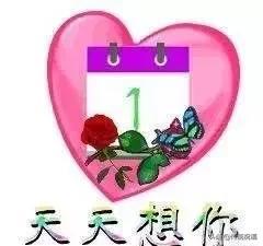 手拿着心放在猪身上猜成语_猪鞭长在猪身上的图片