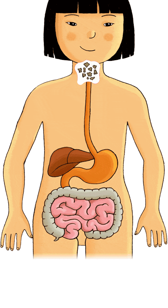肠道是人体最大免疫器官三招帮你守护它的健康