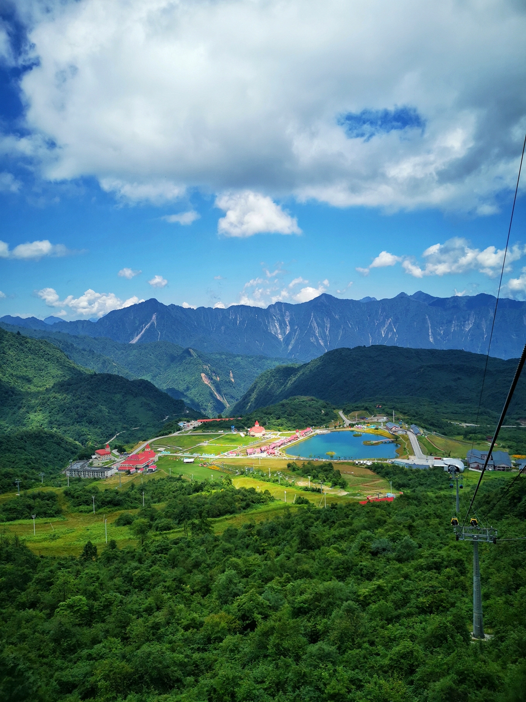 世界自然文化遗产四川大熊猫栖息地西岭雪山野生大熊猫的乐园