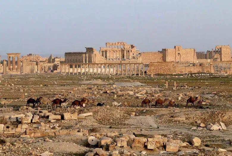 伟大的叙利亚巴尔米拉古城,承载着世界的仰望 —世界建筑艺术之旅