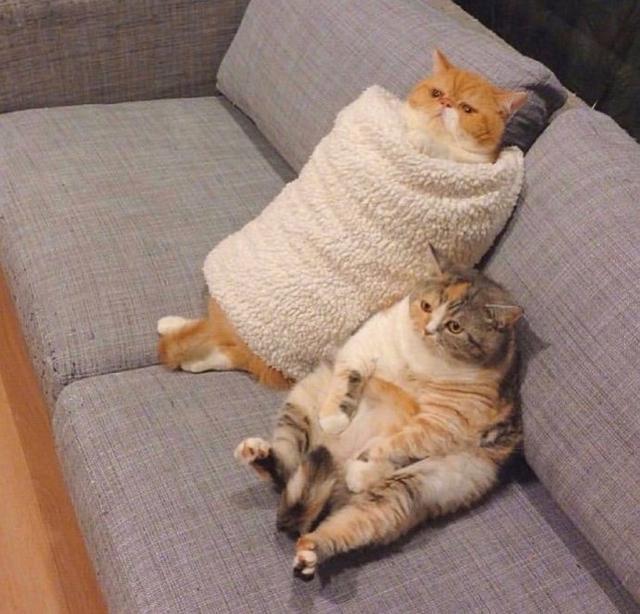 9351c9294dfa410093b8badbe477a864.jpeg