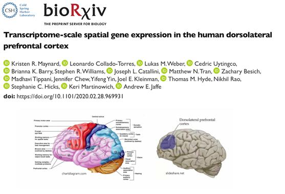 生物科研怎么开始 a157477439ba40409a136f9d680407af.jpeg