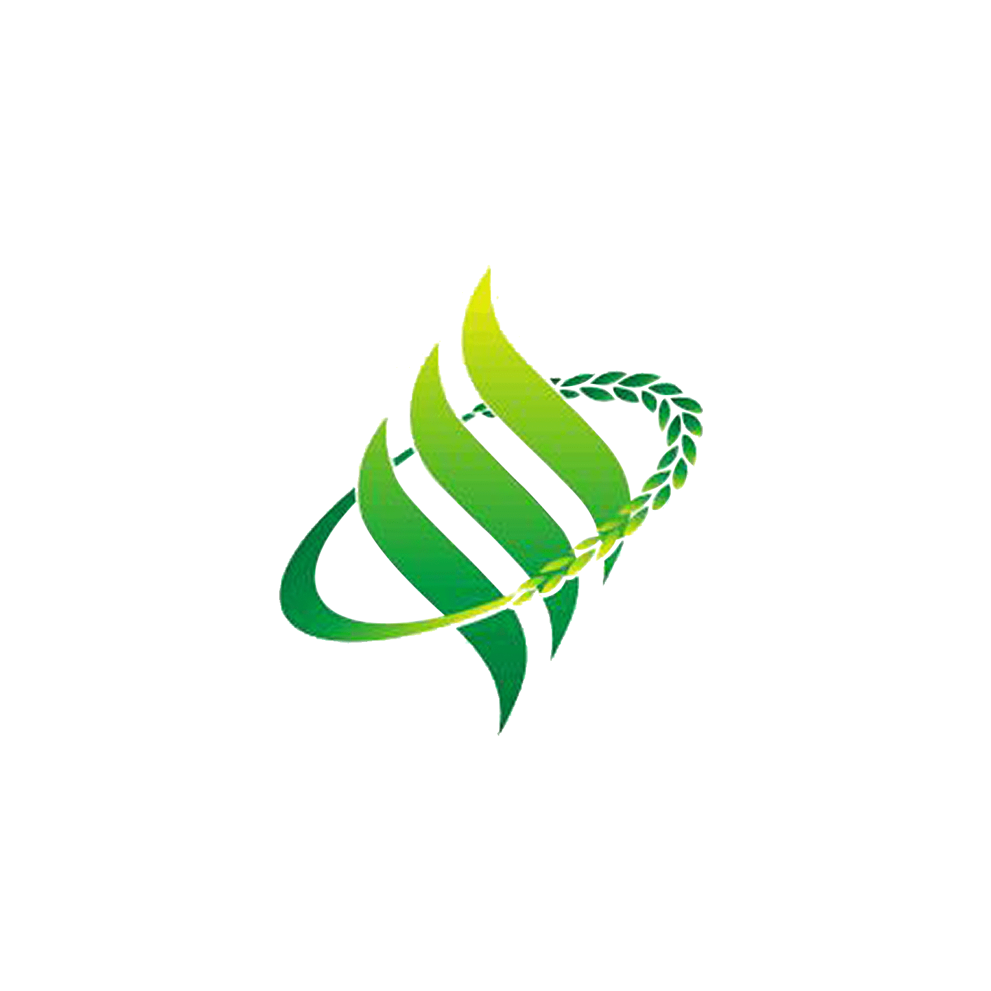 川粮米业:收优质稻谷 为疫情保障