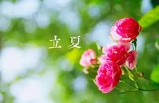 俗话说“立夏吃3鲜，健康一整年”！“3鲜”指的是啥？看完涨知识