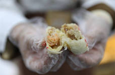 中国（淮安）食博会现场：盱眙龙虾的新创意 让青年食客们流连忘返