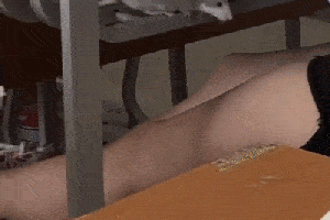 资深吃货的炸弹_妻子