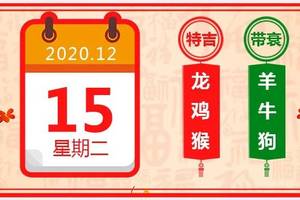 每日生肖运势2020年12月15号