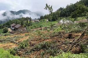 巴东县水布垭镇山体滑坡,紧急撤离114人后,三栋房屋瞬间坍塌