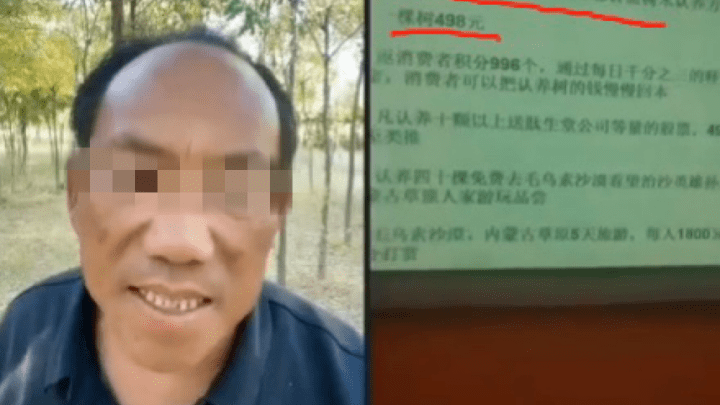 498元认养一棵树?孙国友涉嫌非法集资,你认为构成非法集资吗?
