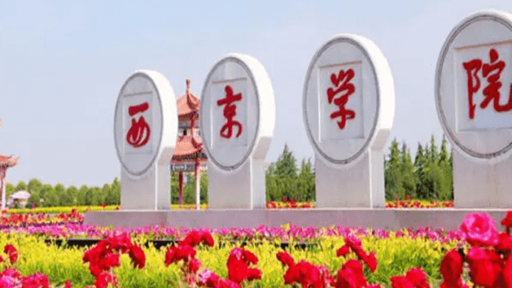 西京学院和武汉理工,谁的科研竞争力更强?