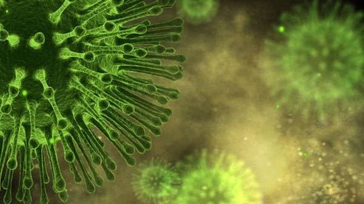 感染100天后死亡率43%,这种病毒会继续肆虐吗?