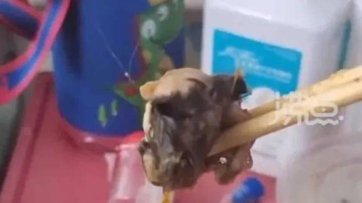 网传在秀山县中医院食堂盒饭中疑似吃出老鼠头,你相信吗?