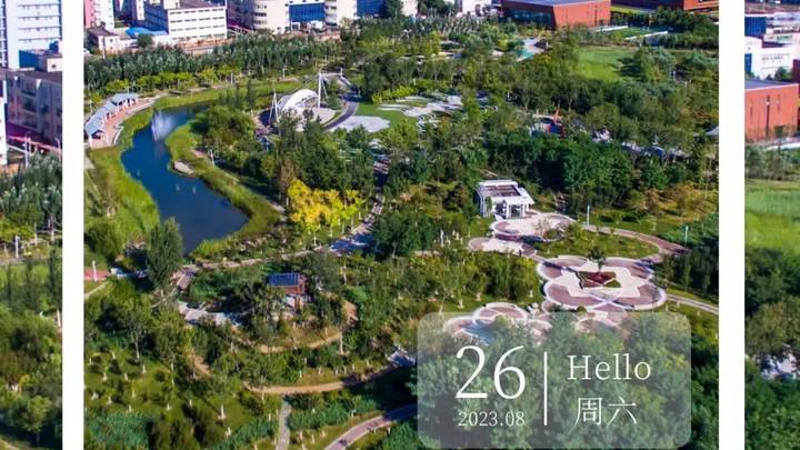 多喝含糖饮料,会影响健康吗?