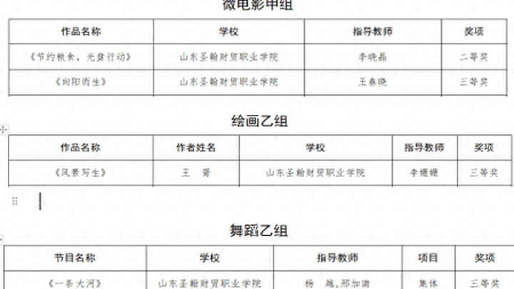 山东圣翰财贸职业学院获省级一等奖,你觉得是实至名归吗?